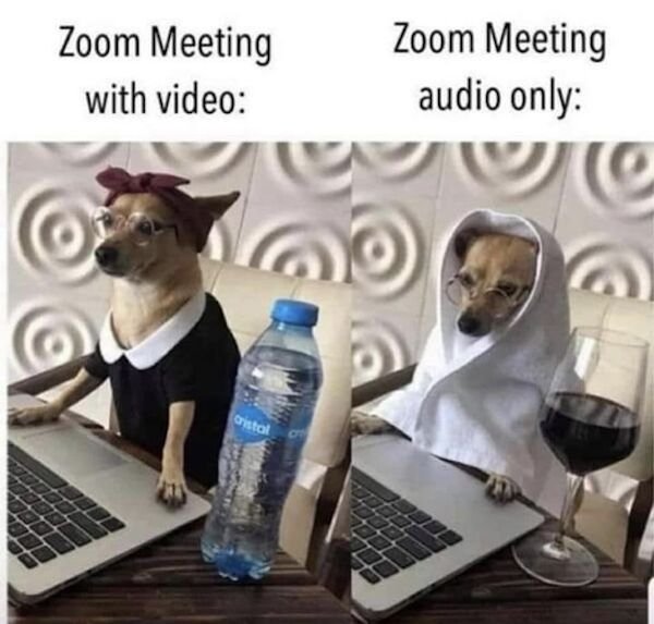 So True (40 pics)