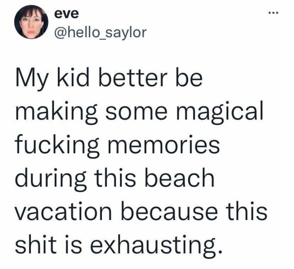 Vacation Tweets (25 pics)