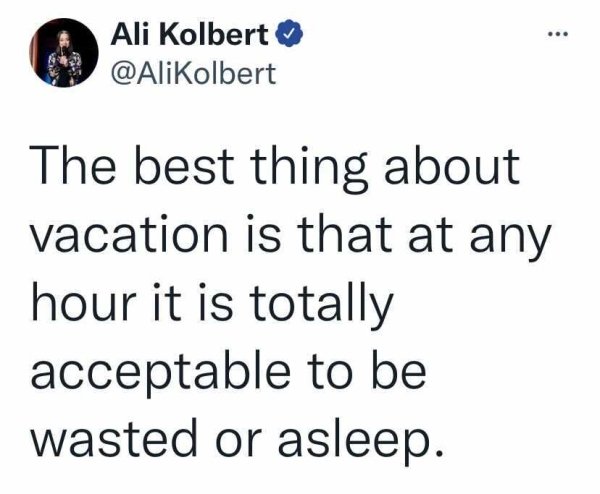 Vacation Tweets (25 pics)