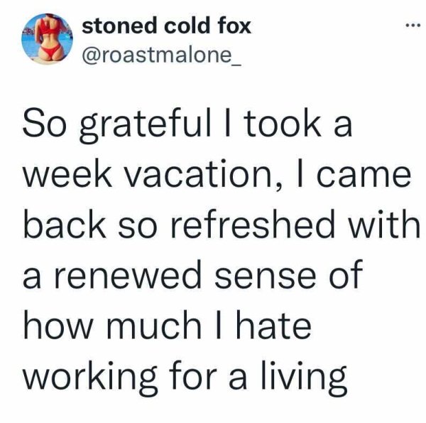 Vacation Tweets (25 pics)