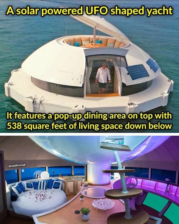 You Definitely Need These Things (38 pics)