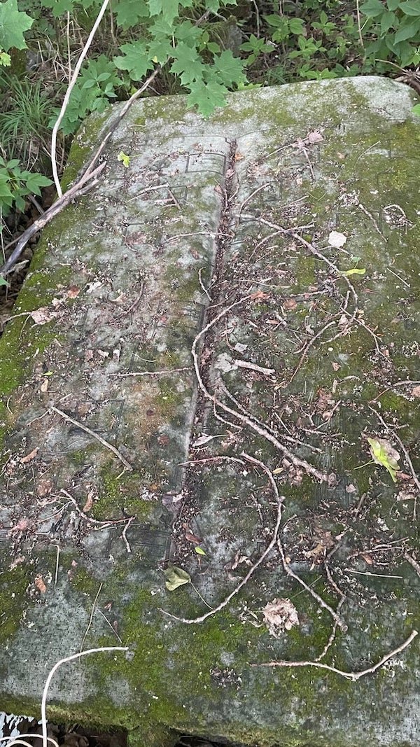 What Are These Things For? (21 pics)