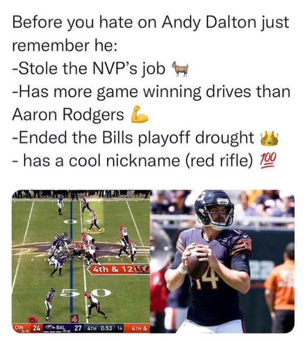 NFL Memes (42 pics)