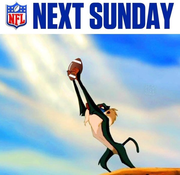 NFL Memes (42 pics)