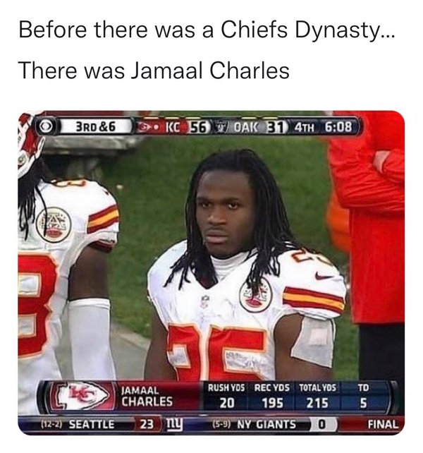 NFL Memes (42 pics)