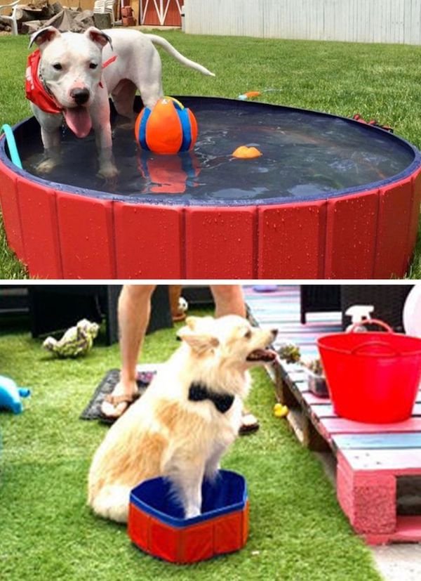 Expectations And Reality (30 pics)