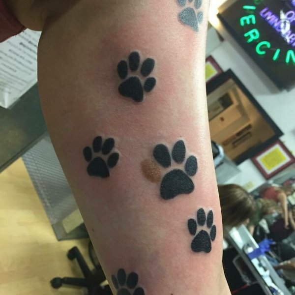 Creative Tattoos That Cover Scars (32 pics)