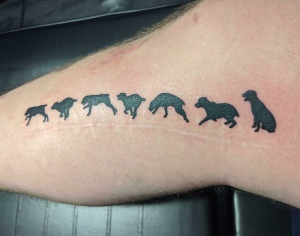 Creative Tattoos That Cover Scars (32 pics)