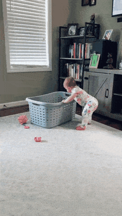 Acid Gifdump, September 9 (25 gifs)