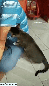 Acid Gifdump, September 9 (25 gifs)