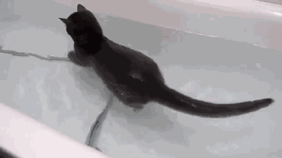 Acid Gifdump, September 10 (25 gifs)