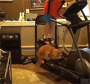 Acid Gifdump, September 10 (25 gifs)