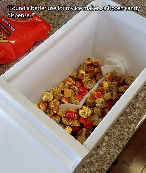 You Can't Even Argue (28 pics)