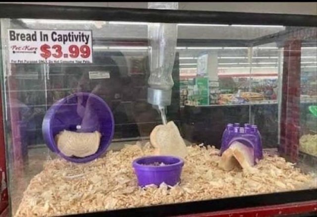 You Can't Even Argue (28 pics)