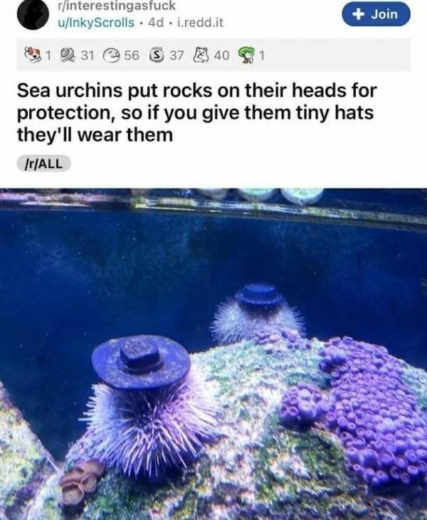 You Can't Even Argue (28 pics)
