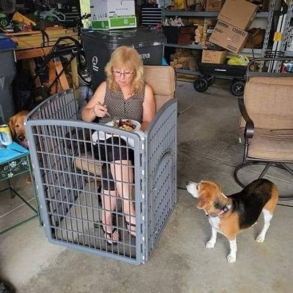 You Can't Even Argue (28 pics)