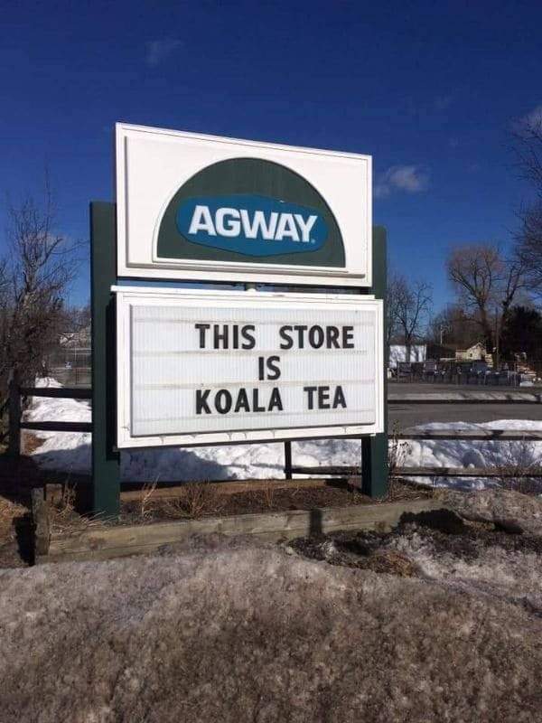 You Can't Even Argue (28 pics)