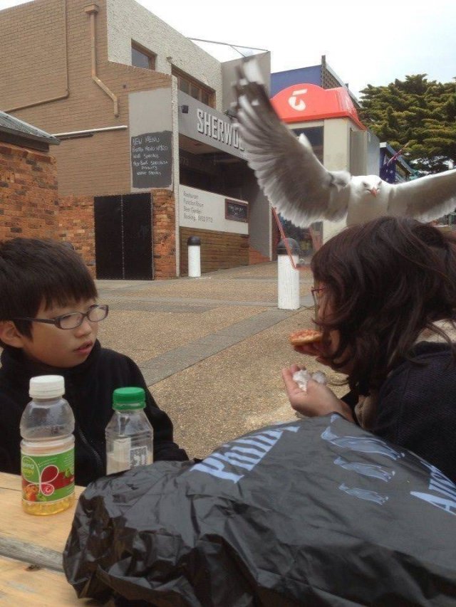 Acid Picdump 1 (88 pics)