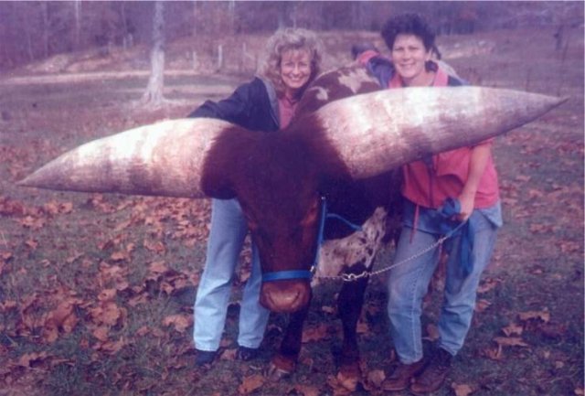 Acid Picdump 1 (88 pics)