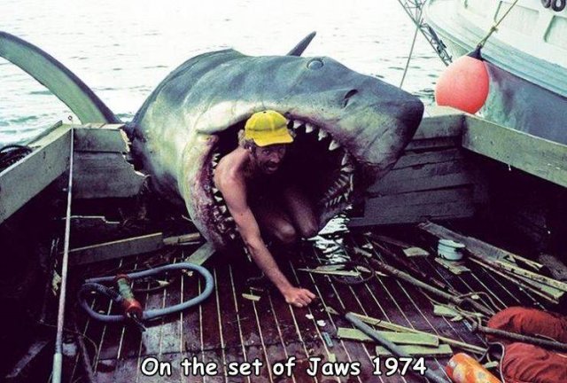 Acid Picdump 1 (88 pics)