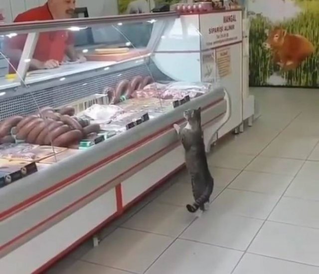 Acid Picdump 2 (86 pics)