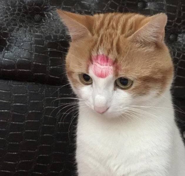 Acid Picdump 1 (88 pics)