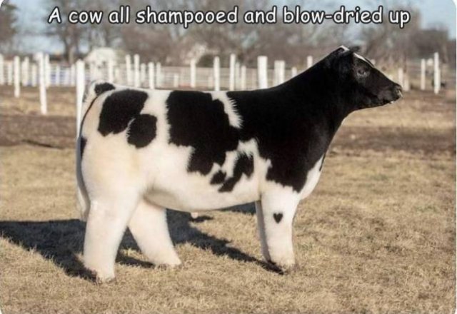 Acid Picdump 2 (86 pics)