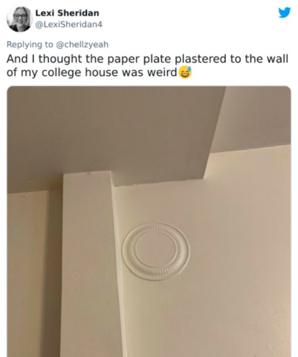 People Are Roasting Landlord's Bad Paint Job (28 pics)