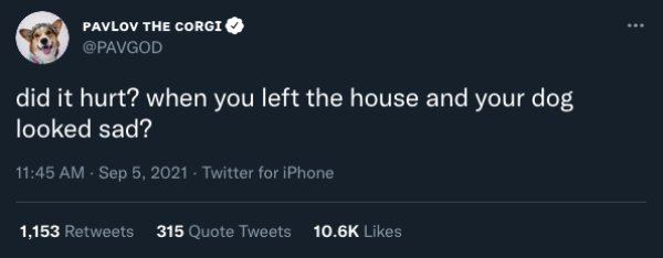 Did It Hurt' Tweets (32 pics)