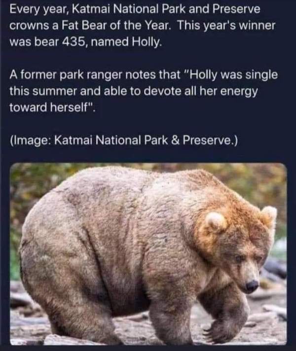 Interesting Photos (35 pics)