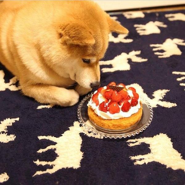 Interesting Photos (35 pics)
