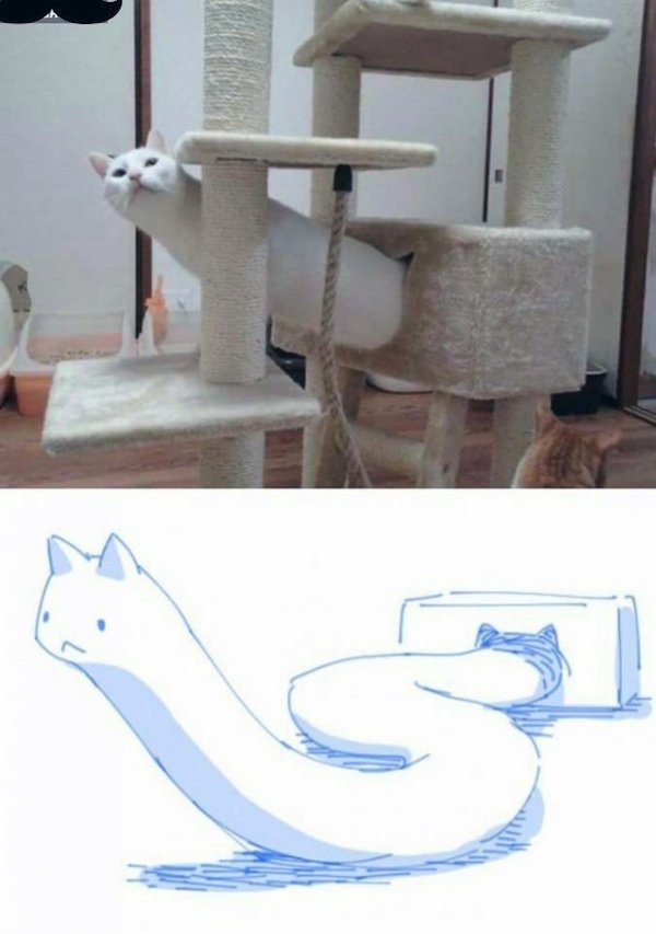 Interesting Photos (35 pics)