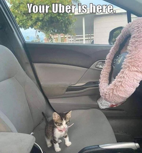 Interesting Photos (35 pics)