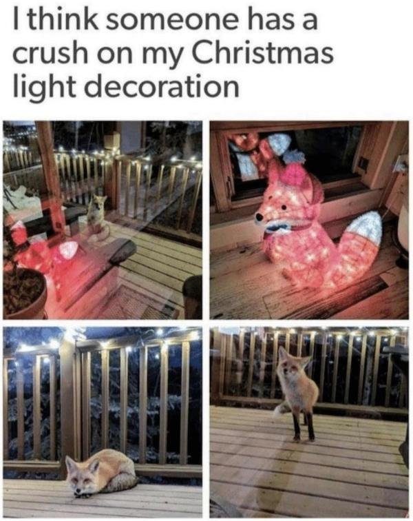 Interesting Photos (35 pics)