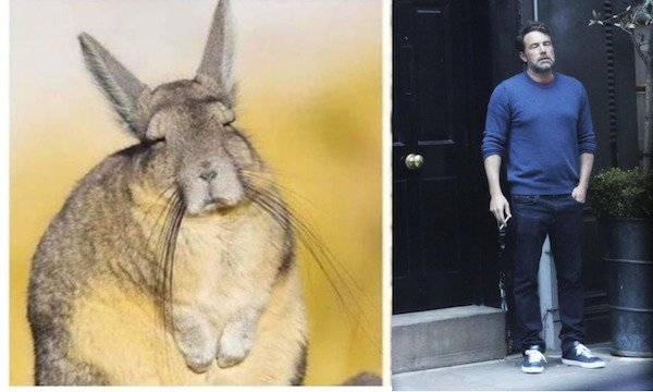 Interesting Photos (35 pics)