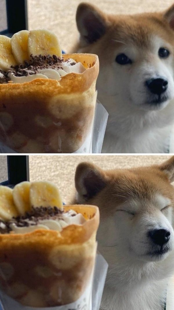 Interesting Photos (35 pics)