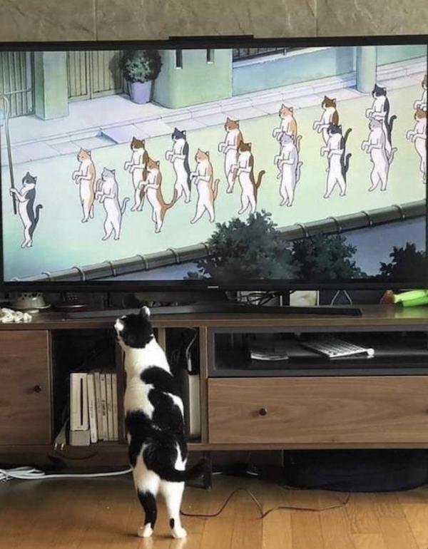Interesting Photos (35 pics)