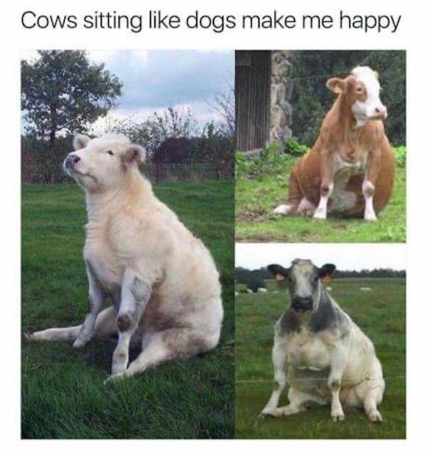 Interesting Photos (35 pics)