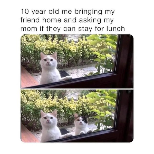 Random Funny Memes (25 pics)