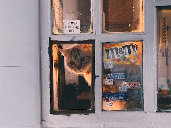 Interesting Photos (35 pics)
