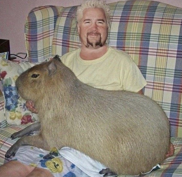 Interesting Photos (35 pics)