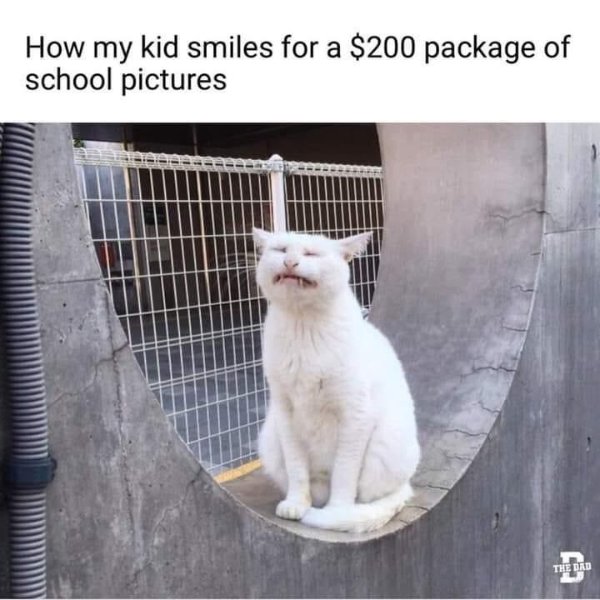 Random Funny Memes (25 pics)