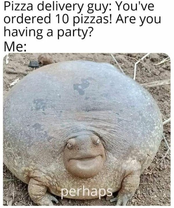 Random Funny Memes (25 pics)