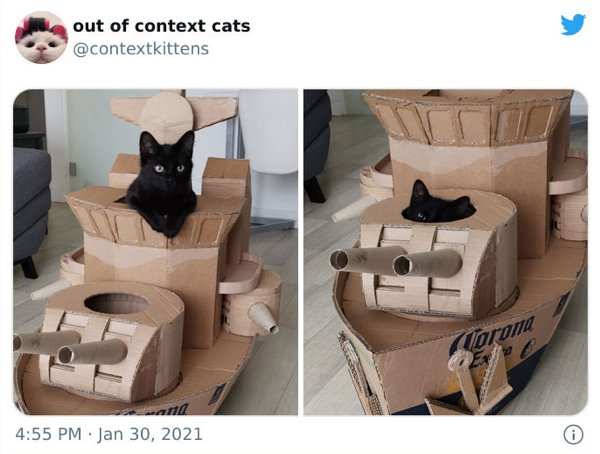 Out Of Context Cats (30 pics)