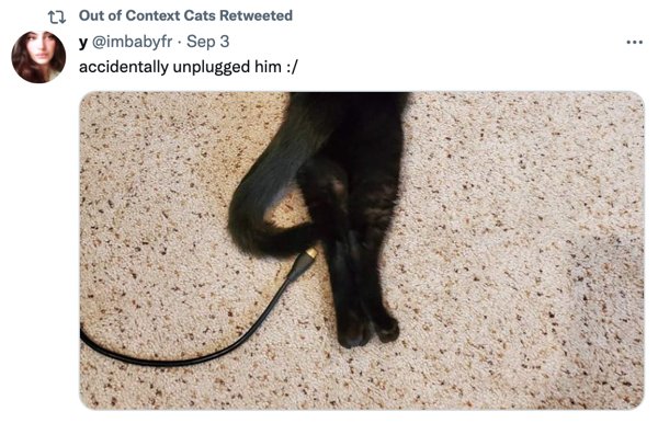Out Of Context Cats (30 pics)