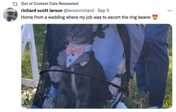 Out Of Context Cats (30 pics)