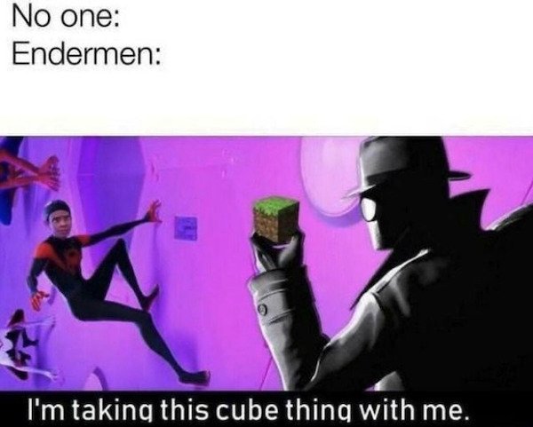 Memes For Gamers (43 pics)