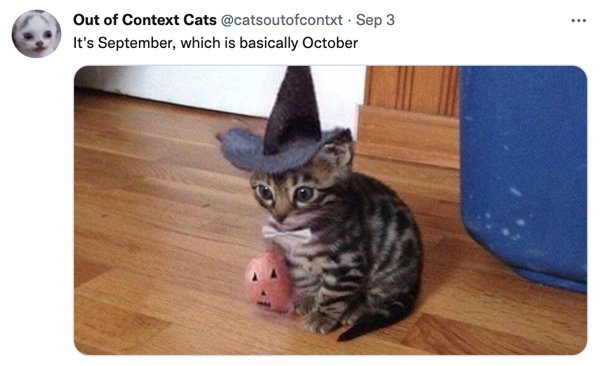Out Of Context Cats (30 pics)