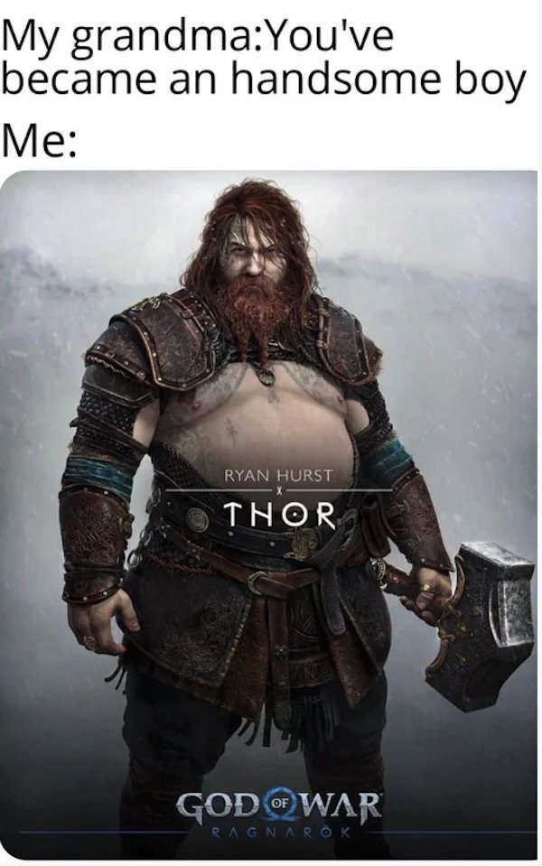 Memes For Gamers (43 pics)