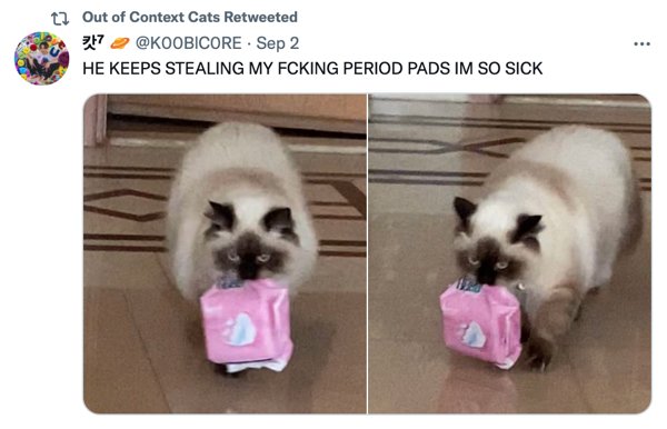 Out Of Context Cats (30 pics)